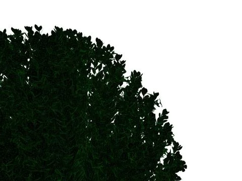3d rendering of an outlined black bush with green edges isolated on white bac Stock Illustration