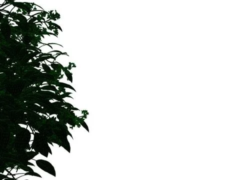 3d rendering of an outlined black tree with green edges isolated on white bac Stock Illustration