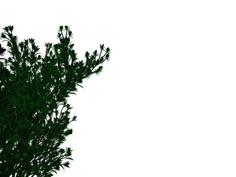 3d rendering of an outlined black tree with green edges isolated on white bac イラスト素材