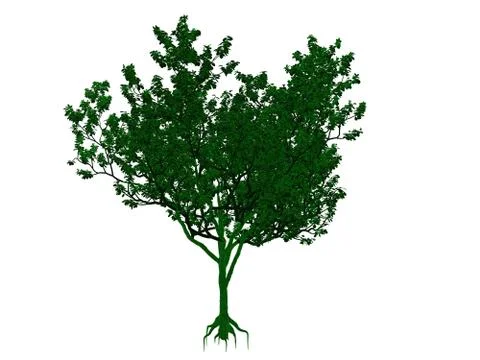 3d rendering of an outlined black tree with green edges isolated on white bac イラスト素材