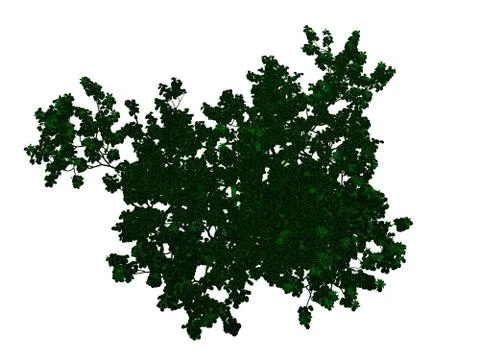 3d rendering of an outlined black tree with green edges isolated on white bac Stock Illustration