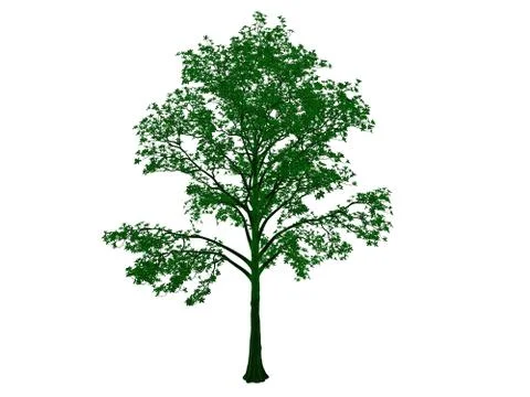 3d rendering of an outlined black tree with green edges isolated on white bac Stock Illustration