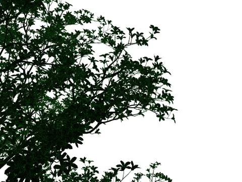 3d rendering of an outlined black tree with green edges isolated on white bac イラスト素材