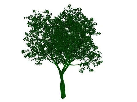 3d rendering of an outlined black tree with green edges isolated on white bac イラスト素材