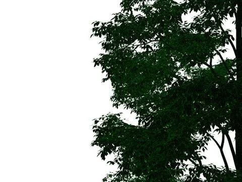 3d rendering of an outlined black tree with green edges isolated on white bac Stock Illustration