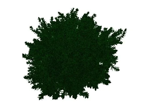 3d rendering of an outlined black tree with green edges isolated on white bac イラスト素材