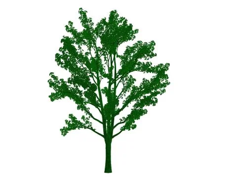 3d rendering of an outlined black tree with green edges isolated on white bac イラスト素材
