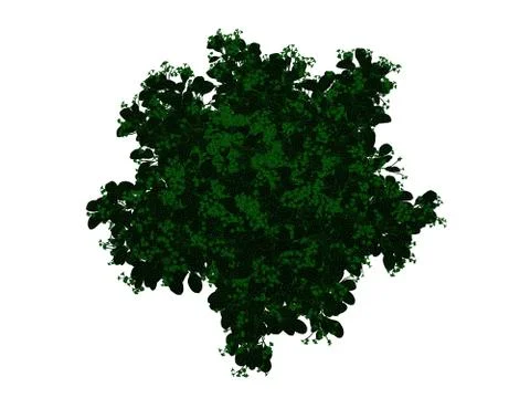 3d rendering of an outlined black tree with green edges isolated on white bac Stock Illustration