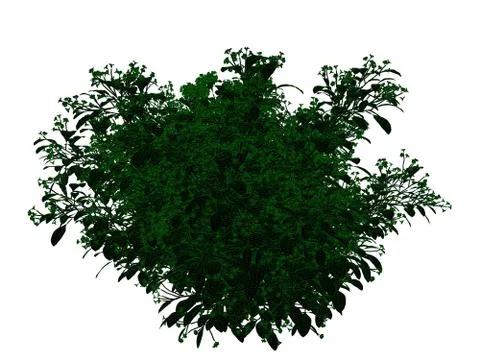 3d rendering of an outlined black tree with green edges isolated on white bac イラスト素材