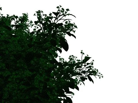 3d rendering of an outlined black tree with green edges isolated on white bac Stock Illustration