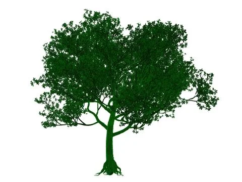 3d rendering of an outlined black tree with green edges isolated on white bac イラスト素材