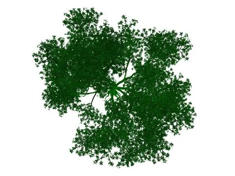 3d rendering of an outlined black tree with green edges isolated on white bac Stock Illustration