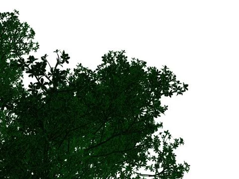 3d rendering of an outlined black tree with green edges isolated on white bac イラスト素材