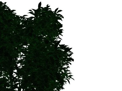 3d rendering of an outlined black tree with green edges isolated on white bac Stock Illustration