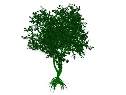 3d rendering of an outlined black tree with green edges isolated on white bac イラスト素材