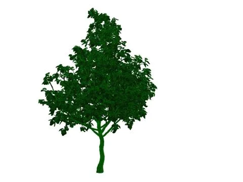 3d rendering of an outlined black tree with green edges isolated on white bac イラスト素材