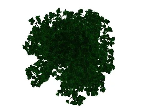 3d rendering of an outlined black tree with green edges isolated on white bac Stock Illustration