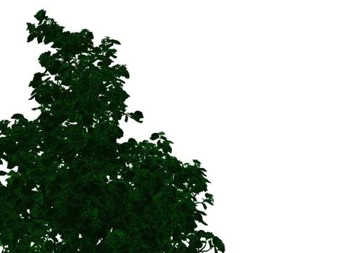 3d rendering of an outlined black tree with green edges isolated on white bac Stock Illustration