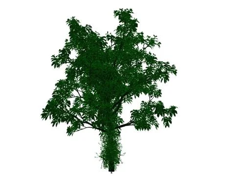 3d rendering of an outlined black tree with green edges isolated on white bac Stock Illustration