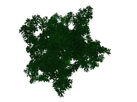 3d rendering of an outlined black tree with green edges isolated on white bac Stock Illustration
