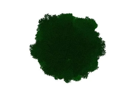 3d rendering of an outlined black tree with green edges isolated on white bac イラスト素材