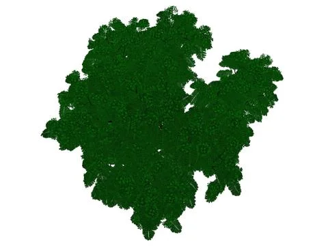 3d rendering of an outlined black tree with green edges isolated on white bac イラスト素材