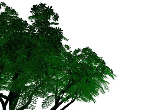3d rendering of an outlined black tree with green edges isolated on white bac Stock Illustration