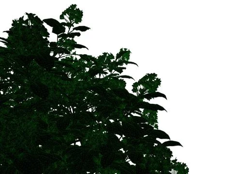3d rendering of an outlined black tree with green edges isolated on white bac Stock Illustration
