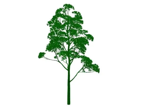 3d rendering of an outlined black tree with green edges isolated on white bac Stock Illustration