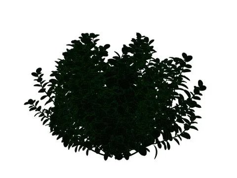3d rendering of an outlined black tree with green edges isolated on white bac Stock Illustration