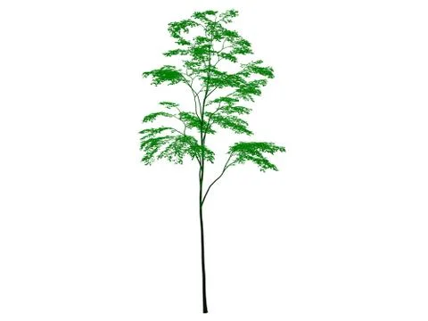 3d rendering of an outlined black tree with green edges isolated on white bac イラスト素材