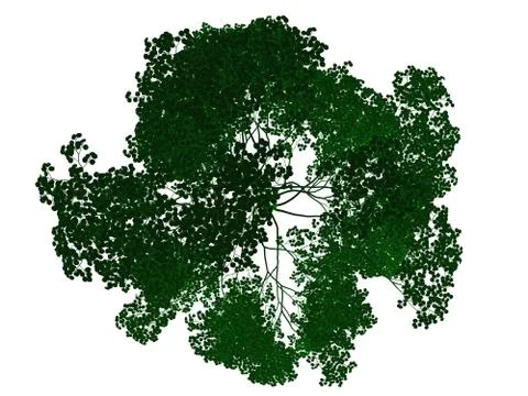3d rendering of an outlined black tree with green edges isolated on white bac イラスト素材