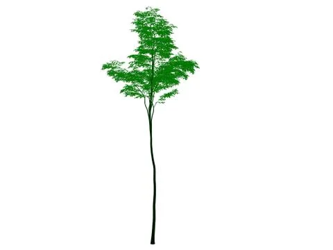 3d rendering of an outlined black tree with green edges isolated on white bac Stock Illustration