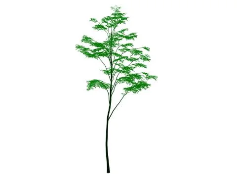 3d rendering of an outlined black tree with green edges isolated on white bac イラスト素材