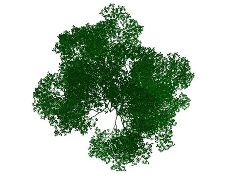 3d rendering of an outlined black tree with green edges isolated on white bac Stock Illustration