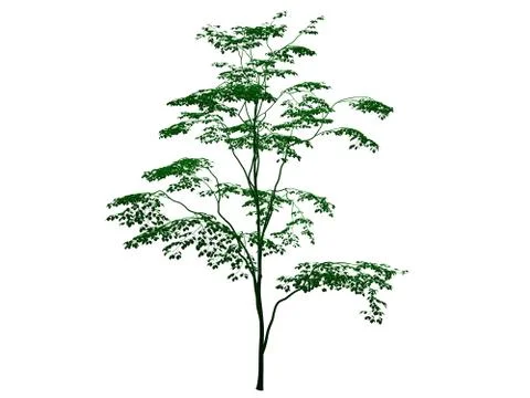 3d rendering of an outlined black tree with green edges isolated on white bac Stock Illustration