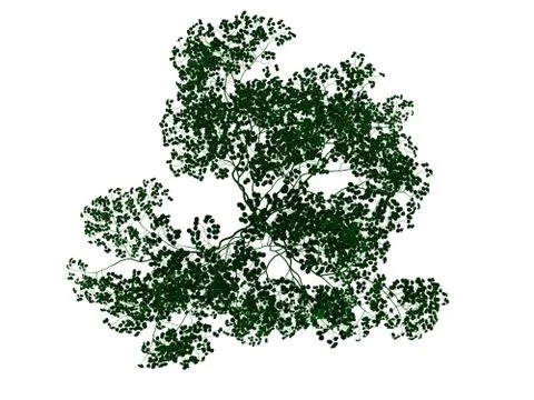 3d rendering of an outlined black tree with green edges isolated on white bac Stock Illustration