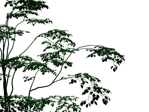 3d rendering of an outlined black tree with green edges isolated on white bac イラスト素材