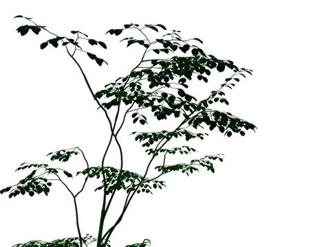 3d rendering of an outlined black tree with green edges isolated on white bac Stock Illustration