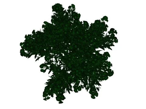 3d rendering of an outlined black tree with green edges isolated on white bac Stock Illustration