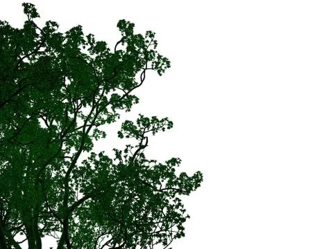 3d rendering of an outlined black tree with green edges isolated on white bac Stock Illustration