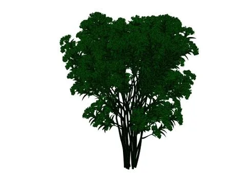 3d rendering of an outlined black tree with green edges isolated on white bac Stock Illustration