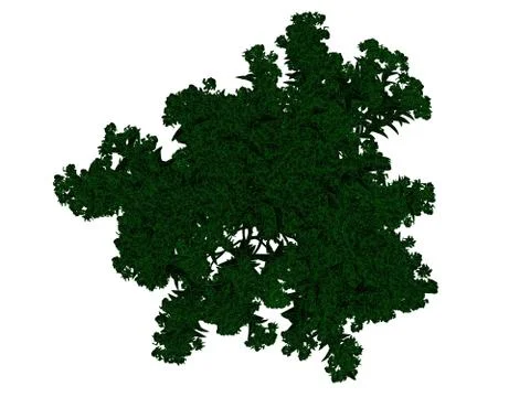 3d rendering of an outlined black tree with green edges isolated on white bac イラスト素材