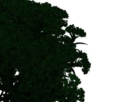 3d rendering of an outlined black tree with green edges isolated on white bac イラスト素材