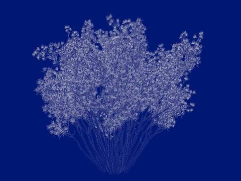3d rendering of an outlined bush blueprint isolated on blue background Stock Illustration