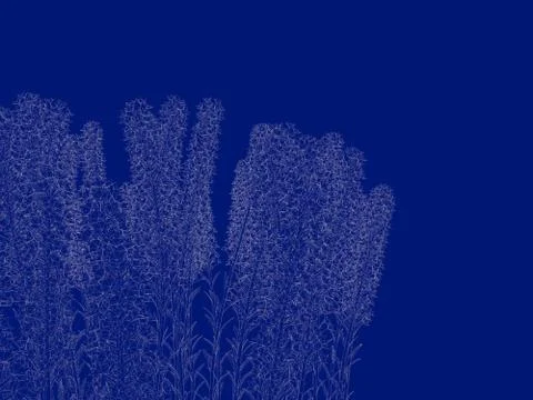 3d rendering of an outlined bush blueprint isolated on blue background Stock Illustration