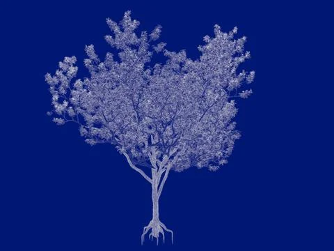 3d rendering of an outlined tree blueprint isolated on blue background Stock Illustration