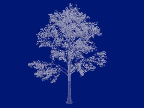 3d rendering of an outlined tree blueprint isolated on blue background イラスト素材