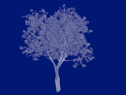 3d rendering of an outlined tree blueprint isolated on blue background Stock Illustration