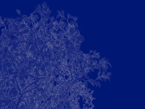 3d rendering of an outlined tree blueprint isolated on blue background Stock Illustration
